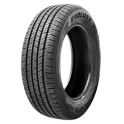 Evoluxx Capricorn HP 205/55R16 SL 91H